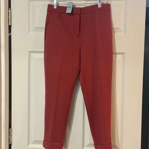 Ann Taylor Burnt Orange Cropped Women's Pants